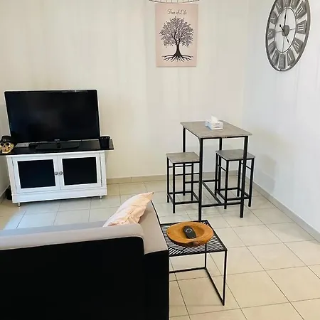Appartement Avec Place De Parking Et Piscine Villefranche-sur-Saône Exterior foto